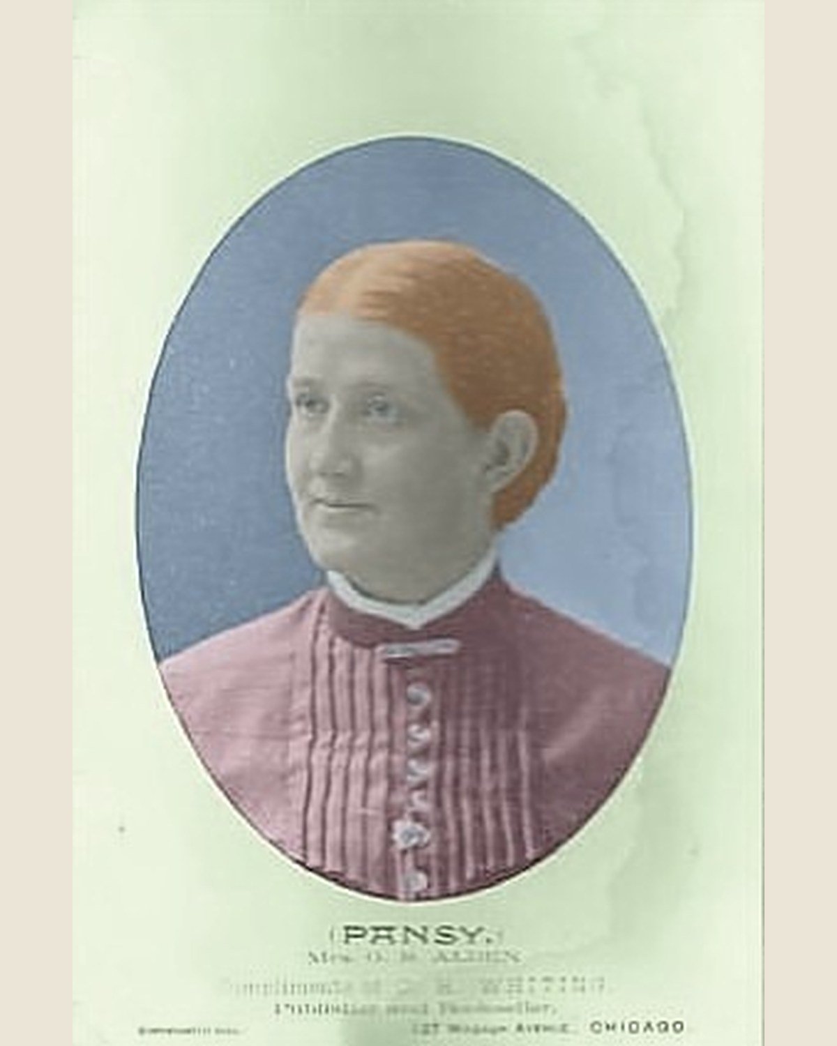 Portrait of Pansy