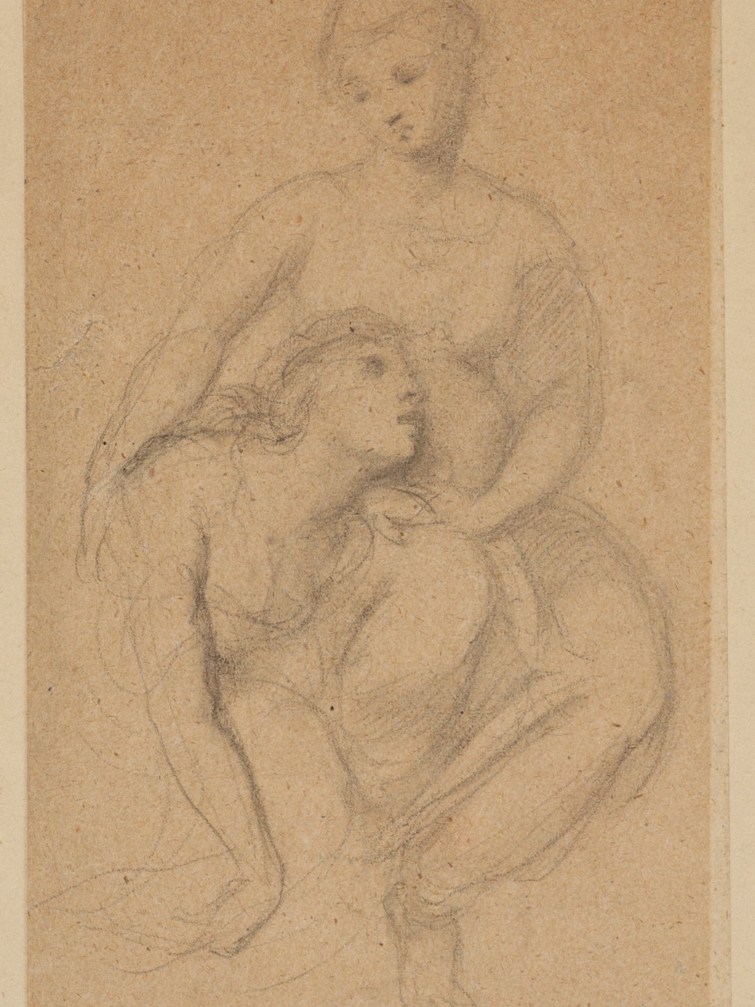 Cover of Plays of Sophocles: Oedipus the King; Oedipus at Colonus; Antigone