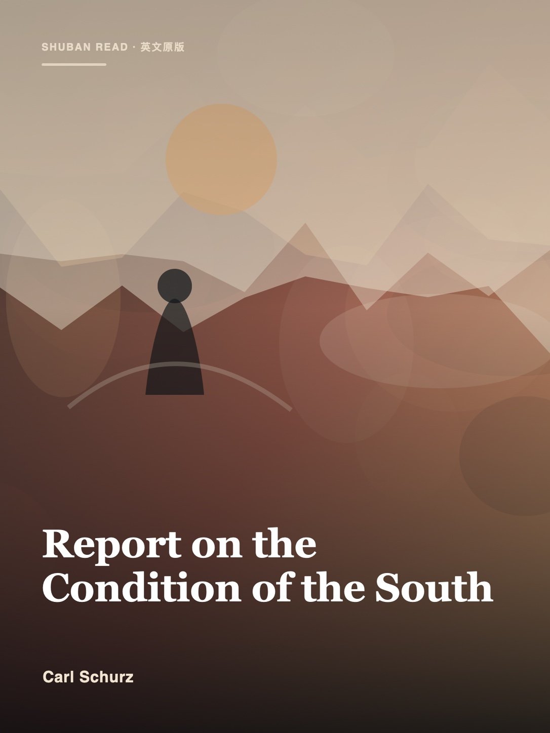 Cover of Report on the Condition of the South