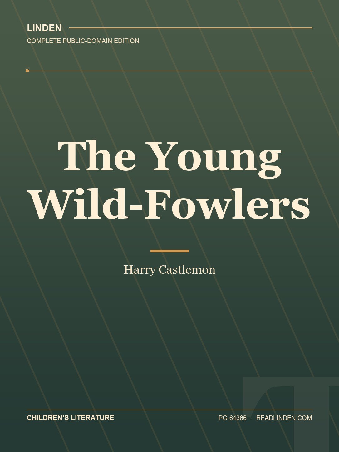 Cover of The Young Wild-Fowlers