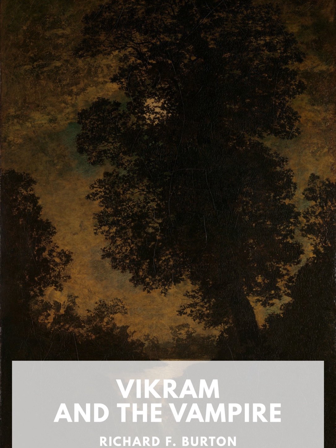 Cover of Vikram and the Vampire: Classic Hindu Tales of Adventure, Magic, and Romance